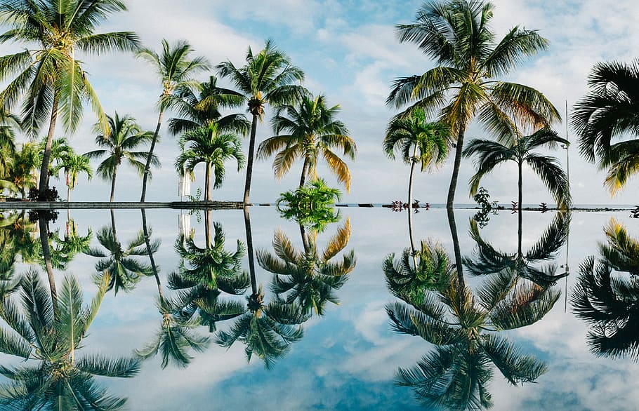 reflexió de l’aigua, palmeres de coco, palmeres, cos, aigua, blau, cel, durant el dia, arbres, reflexió, mar, oceà, Palmera, núvols, sol, núvol, arbre, paradís, mauritiu, planta, clima tropical, naturalesa, núvol - cel, davant del mar, cap gent, tranquil·litat, simetria, dia, aigua estancada, a l'aire lliure, bellesa a la natura, piscina, llac, compost digital, piscina reflectant, luxe, 8K