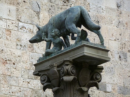 socha, vlk, romulus, remus, mezník, Itálie, sochařství, architektura, kamenný materiál, Dějiny, zastoupení zvířat, umění a řemesla, zastoupení, řemeslo, tvořivost, stavba, nástěnný prvek, den, exteriér budovy, minulost, řezbářství - řemeslný výrobek, nikdo, lidské zastoupení, pevný, chrlič, kamenná zeď, 4K, CC0, veřejná doména, bez autorských práv