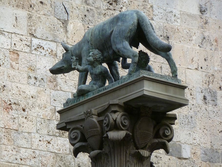 estàtua, llop, romulus, remus, referència, Itàlia, escultura, arquitectura, material de pedra, història, representació animal, art i artesania, representació, artesania, creativitat, estructura construïda, funció de construcció de parets, dia, exterior de l'edifici, el passat, talla - producte artesanal, cap gent, representació humana, sòlid, gàrgola, paret de pedra, 4K