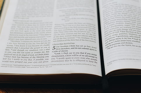 book, bible, scripture, publication, text, close-up, indoors, education, page, open, no people, paper, communication, belief, religion, still life, spirituality, literature, wisdom, learning, high angle view, expertise, textbook, studying, 2K, CC0, public domain, royalty free