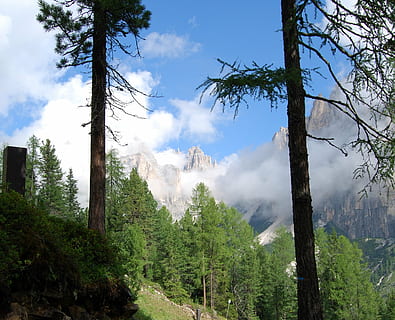 zastavit, dolomity, hora, strom, zelená, nebe, krajina, Příroda, mraky, větev, les, venku, scén, horský vrchol, rostlina, mrak - nebe, přistát, růst, krása v přírodě, klid, klidné scény, kmen stromu, kufr, životní prostředí, scenics - příroda, den, mimoměstské scény, nikdo, lesní požár, znečištění, znečištění ovzduší, 1080P, CC0, veřejná doména, bez autorských práv