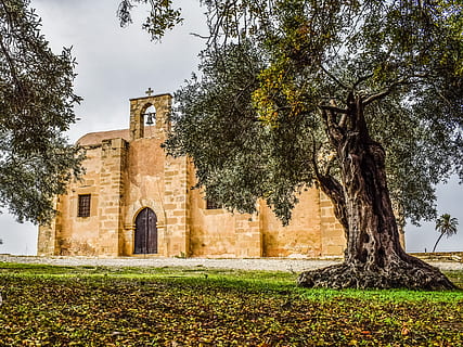 arbre, paisatge, Xipre, tersefanou, ayios georgios arperas, Església, Segle XVIII, ortodoxa, religió, arquitectura, cristianisme, planta, estructura construïda, història, el passat, creença, exterior de l'edifici, edifici, lloc de culte, naturalesa, espiritualitat, cap gent, dia, creixement, vista d’angle baix, vell, a l'aire lliure, 4K, CC0, domini públic, lliure de regalies