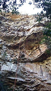 abseilen, Loch, Schlitz, Baum, Pflanze, keine Leute, Natur, Tag, Rock, Flachwinkelansicht, Rock - Objekt, Felsformation, solide, draußen, Ruhe, Rau, texturiert, Wachstum, Schönheit in der Natur, Wald, Holz - Material, Land, Nicht-städtische Szene, Borke, erodiert, 2K, CC0, gemeinfrei, lizenzfrei