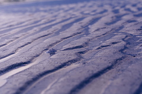 zavřít, zblízka, detail, detailní pohled, detailní, oceán, slaná voda, písek, písečná pláž, písčité, západ slunce, voda, pozadí, Příroda, nikdo, celý rám, suché podnebí, vzor, venku, texturou, krajina, selektivní zaměření, přistát, zimní, studená teplota, sníh, životní prostředí, scenics - příroda, den, krása v přírodě, povrchu, klimatu, 5K, CC0, veřejná doména, bez autorských práv