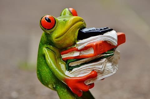 verde, raganella, portando, figurina di libri, rana, figura, File, pila, file impilati, ufficio, decorazione, animale, divertente, carina, ceramica, divertimento, dolce, calcolatrice, lavoro d'ufficio, lavoro, stress, anfibio, giocattolo, avvicinamento, nessuno, rappresentazione, multicolore, concentrarsi sulle conoscenze acquisite, colore verde, plastica, rosso, natura, creatività, fauna selvatica, giorno, artificiale, rappresentazione umana, 5K, CC0, dominio pubblico, privo di copyright