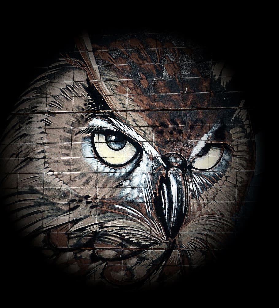 disegno, uccello, Aquila gufo, gufo, arte, animali, fotografia naturalistica, piuma, uccello selvatico, occhi, strano uccello, mondo animale, piume, conto, Marrone, sfondo nero, parte del corpo umano, ritratto, occhio umano, guardando la fotocamera, solo un uomo, occhio, travestimento, in casa, creatività, paura, maschera, parte del corpo, maschera - travestimento, girato in studio, orrore, spaventoso, avvicinamento, rappresentazione, persone, volto umano, 1080P