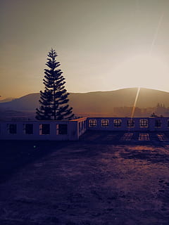 beton, bancă, fundal de pin, Munte, apus de soare, nori, amurg, seară, peisaj, natură, în aer liber, pitoresc, siluetă, cer, oțel și structura de beton, soare, razele de soare, copaci, arhitectură, construită, copac, exteriorul clădirii, nici o persoana, plantă, clădire, casă, frumusețe în natură, teren, o scenă liniștită, lumina soarelui, camp, 4K, CC0, domeniu public, fără drepturi de autor