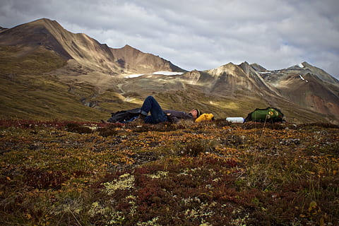 Mann, lügen, Pflanzenfeld, Berge, Hügel, neben, Grün, Wandern, Rucksack, Weiß, Blau, wolkig, Himmel, samuel, Gletscher, Berg, Wolke, Gras, Kerl, Natur, Landschaft, szenen, draußen, Gebirge, Zelt, Gipfel, Reise, Tundra, Tag, Szenen - Natur, Schönheit in der Natur, Umgebung, wolke - himmel, Nicht-städtische Szene, ruhige Szene, Pflanze, Säugetier, Tier, Ruhe, keine Leute, Rock, Land, Tierthemen, 2K, CC0, gemeinfrei, lizenzfrei