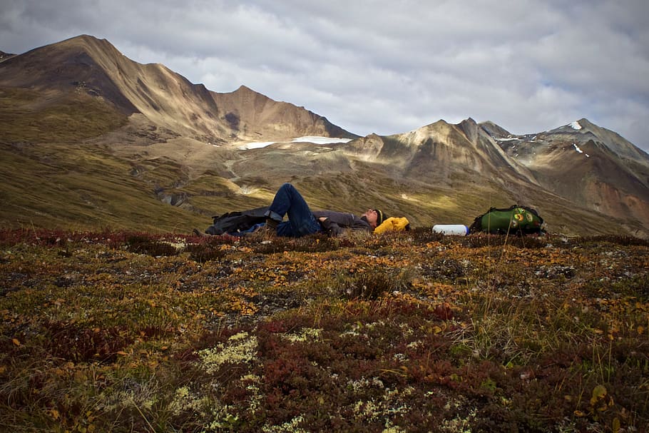 mand, at lyve, plante felt, bjerge, bakke, ved siden af, grøn, vandring, rygsæk, hvid, blå, overskyet, skyer, samuel, gletscher, bjerg, Sky, græs, fyr, natur, landskab, scenics, udendørs, bjergkæde, telt, bjergtop, himmel, rejse, tundra, dag, scenics - natur, skønhed i naturen, miljø, sky - himmel, ikke-urbane scene, rolig scene, plante, pattedyr, dyr, ro, ingen mennesker, klippe, jord, dyre temaer, 2K