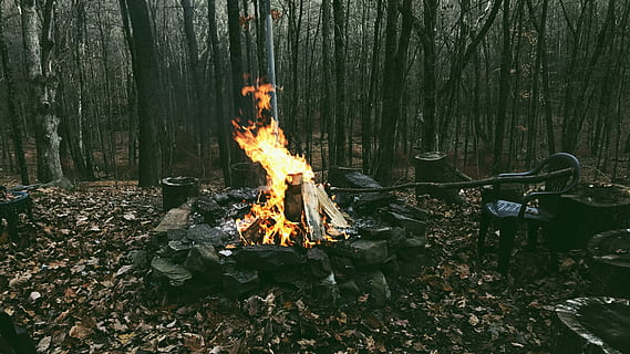 falò sulla foresta, fuoco delle ossa, nero, poltrona monoblocco, Marrone, leafed, alberi, fuoco, ardente, fiamma, falò, fuoco di bivacco, calore - temperatura, fuoco - fenomeno naturale, legno - materiale, natura, albero, legna, foresta, terra, ceppo, raggiante, legna da ardere, pianta, nessuno, movimento, campeggio, giorno, all'aperto, 4K, CC0, dominio pubblico, privo di copyright