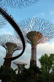 architecture photography, architecture, photography, tree, sky, outdoors, nature, famous Place, amusement park, rollercoaster, amusement park ride, arts culture and entertainment, low angle view, plant, day, cloud - sky, no people, built structure, metal, tall - high, chain swing ride, growth, branch, adventure, 1080P, CC0, public domain, royalty free