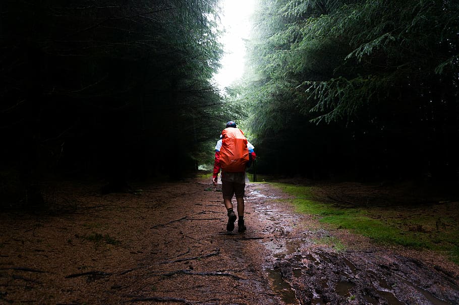 home, portar, motxilla, caminar, marró, brutícia, homes, arbres, herba, pluja, humit, carretera, camí, fulles, fusta, viatjar, aventura, a l'aire lliure, caminada, alpinista, gent, un sol home, mig adult, només adults, Carretera bruta, només homes, una persona, adult, bosc, arbre, longitud completa, vista del darrere, terra, persones reals, planta, activitat d'oci, naturalesa, estils de vida, activitat, bicicleta, direcció, el camí a seguir, 4K