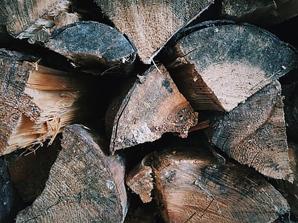 schors, besnoeiing, industrie, logboek, logs, timmerhout, buitenshuis, scherp, structuur, boom, romp, hout, houten, houten stammen, brandstapel, volledig kader, achtergronden, houtindustrie, hout - materiaal, getextureerde, stack, brandhout, detailopname, ontbossing, geen mensen, Bos, natuur, patroon, overvloed, 2K, CC0, publiek domein, royaltyvrij