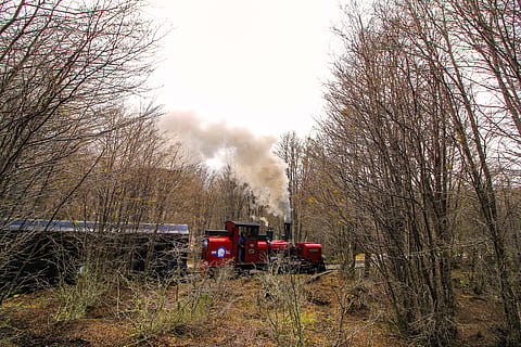 tog, Skov, træer, røg, natur, bane, jernbane, via tog, med tog, jernbaner, lokomotiv, pathways, via, skinner, jern, togstation, transportere, station, opgivelse, forladt, uartig, rejsende, træ, plante, land køretøj, bare træ, transportform, transportmidler, dag, jord, himmel, røg - fysisk struktur, ingen mennesker, vækst, Mark, offentlig transport, udendørs, tog - køretøj, miljø, forurening, 5K, CC0, offentligt domæne, royaltyfrie