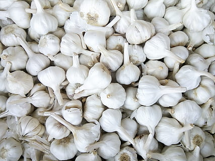 garlic, image, spice, white color, large group of objects, full frame, backgrounds, food and drink, freshness, food, abundance, wellbeing, for sale, ingredient, market, healthy eating, raw food, no people, still life, retail, garlic bulb, garlic clove, consumerism, 2K, CC0, public domain, royalty free