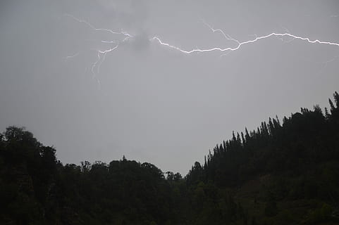 Silver Lining, Cloud, Lightning, nature, sky, landscape, scenics, tree, outdoors, no people, beauty in nature, power in nature, plant, cloud - sky, thunderstorm, storm, power, scenics - nature, low angle view, environment, growth, forest, atmospheric mood, electricity, 5K, CC0, public domain, royalty free
