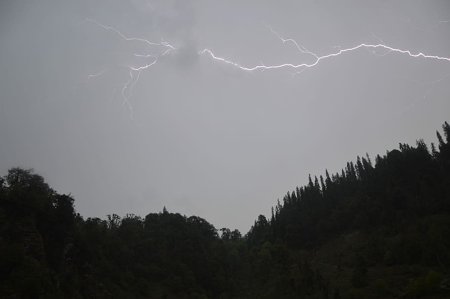folre de plata, núvol, llamps, naturalesa, cel, paisatge, escenics, arbre, a l'aire lliure, cap gent, bellesa a la natura, poder a la natura, planta, núvol - cel, tempesta, poder, escenics - natura, vista d’angle baix, medi ambient, creixement, bosc, estat d'ànim atmosfèric, electricitat, 5K