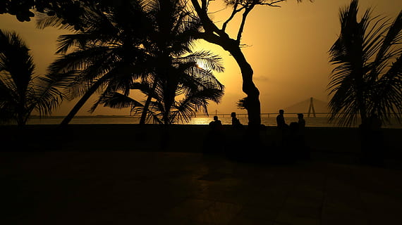 foto siluet, orang, duduk, pohon, alam, pemandangan, matahari terbenam, Daun-daun, orang-orang, bayangan, bayangan hitam, pantai, pohon palem, laut, iklim tropis, backlit, liburan, langit, menanam, air, scenics - alam, keindahan di alam, tanah, cakrawala di atas air, sekelompok orang, horison, orang sungguhan, ketenangan, di luar rumah, 5K, CC0, domain publik, bebas royalti