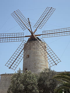 molí de vent, molí, vent, ala, energia eòlica, aerogenerador, energia alternativa, molí de vent tradicional, dia, energia renovable, generació de combustible i energia, turbina, conservació del medi ambient, cel, medi ambient, naturalesa, planta, vista d’angle baix, arbre, estructura construïda, arquitectura, cap gent, escena rural, cel clar, a l'aire lliure, Font d'alimentació, 4K, CC0, domini públic, lliure de regalies
