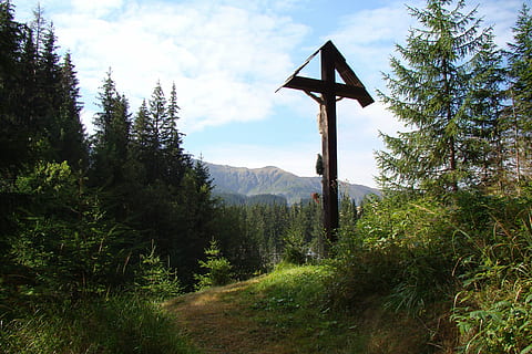 přejít, summitu, idyla, les, Ježíš Kristus, náboženství, wodden, hora, Příroda, strom, krajina, venku, scén, rostlina, krása v přírodě, růst, nebe, klidné scény, klid, zelená barva, mimoměstské scény, scenics - příroda, nikdo, přistát, den, životní prostředí, mrak - nebe, tráva, idylický, borovice, jehličnatého stromu, 2K, CC0, veřejná doména, bez autorských práv