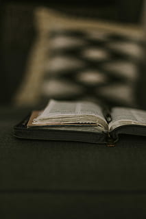 ha aperto, libro, grigio, tampone, selettivo, fotografia a fuoco, Bibbia, tavolo, rilassare, imparare, pagine, studia, cuscino, letteratura, religione, fede, tempo calmo, devozione, leggere, pubblicazione, messa a fuoco selettiva, in casa, avvicinamento, nessuno, formazione scolastica, apprendimento, pagina, saggezza, natura morta, copia spazio, carta, legno - materiale, vecchio, credenza, bloc notes, studiando, libro con copertina rigida, 4K, CC0, dominio pubblico, privo di copyright
