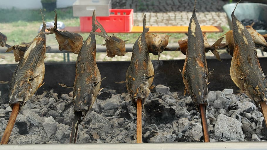 steckerlfisch, makrel, grill, fisk, trækul, ild, mad, spise, drage nytte af, brand - naturligt fænomen, ingen mennesker, hængende, mad og drikke, fisk og skaldyr, dag, fokus på forgrunden, hvirveldyr, metal, dyr, friskhed, tæt på, udendørs, brænding, velvære, i en række, natur, sund kost, stor gruppe af objekter, forbereder mad, 2K