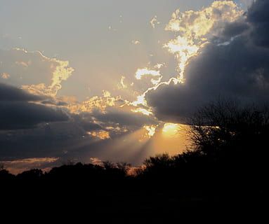 Sonnenuntergang, Wolke, Weiß, Schatten, Weiß, Schatten, schimmernde Kante, strahlende Strahlen, Sonne, hell, zart orange, pink-gelb, glühen, Bäume und Busch, Himmel, Natur, Silhouette, szenen, wolke - himmel, Schönheit in der Natur, Baum, ruhige Szene, Ruhe, Szenen - Natur, Pflanze, Sonnenstrahl, Sonnenlicht, keine Leute, hinterleuchtet, idyllisch, Nicht-städtische Szene, draußen, Umgebung, Streaming, 1080P, CC0, gemeinfrei, lizenzfrei