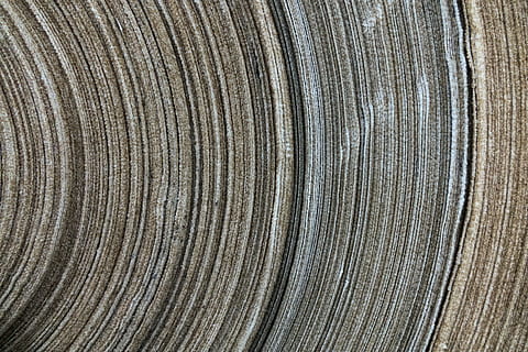 sfondo, struttura, tessile, stoffa, rotolo, design, strato, sfondi e trame, Materiale, fotogramma intero, sfondi, avvicinamento, legno - materiale, strutturato, modello, nessuno, legna, venatura del legno, giorno, albero, natura, modello naturale, semplicità, all'aperto, primo piano estremo, curva, forma, a strisce, macro, color argento, anello degli alberi, 5K, CC0, dominio pubblico, privo di copyright