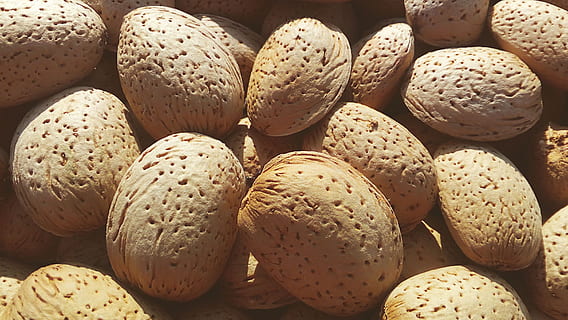 Almendras, frutas secas, cáscara, seco, fruta seca, sano, Fruta, comida, comida y bebida, de cerca, frescura, naturaleza muerta, alimentación saludable, nadie, fotograma completo, antecedentes, bienestar, abundancia, gran grupo de objetos, adentro, día, texturizado, detalle, semilla, listo para comer, vista de alto ángulo, 2K, CC0, dominio público, libre de derechos