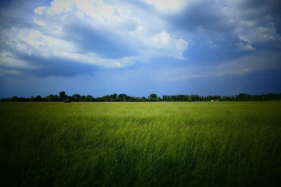 Sky, himmel, skyer, himlen, natur, Land, storm, skyerne, sky - himmel, miljø, landskab, Mark, jord, plante, skønhed i naturen, ro, græs, scenics - natur, grøn farve, rolig scene, landlige scene, landbrug, korn plante, afgrøde, ingen mennesker, udendørs, 5K