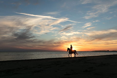 Achtsamer Moment 3, Reiter am Ufer, Sonnenuntergang, Sonnenaufgang, Wolke, Blau, Himmel, Meer, Wasser, Strand, Land, wolke - himmel, Horizont über Wasser, Schönheit in der Natur, Horizont, Natur, Männer, ruhige Szene, Szenen - Natur, Freizeitbeschäftigung, zwei Menschen, Ruhe, Haustiere, draußen, Paar - Beziehung, 5K, CC0, gemeinfrei, lizenzfrei