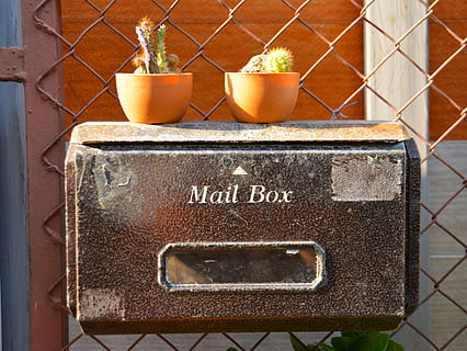 dos, verd, plantes de cactus, marró, bústia de metall, bústia, franqueig, correu electrònic, Caixa, publicació, enviar, lliurament, carta, postal, missatge, Enviament, contenidor, metall, vintage, rovellat, retro, vell, acer, antiguitat, casa, grunge, signe, envellit, grungy, espatllat, text, dia, cap gent, naturalesa, planta, guió occidental, creixement, planta en test, primer pla, a l'aire lliure, comunicació, guió, script no occidental, menjar, menjar i beguda, material de fusta, test de flor, jardineria, 4K, CC0, domini públic, lliure de regalies