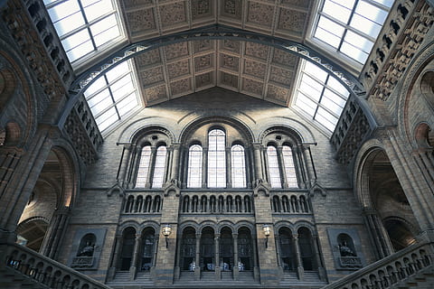 vista da basso angelo, edificio a soffitto di vetro, interno, architettura, costruzione, infrastruttura, design, Museo, Chiesa, in casa, finestra, Cattedrale, Europa, storia, posto famoso, arco, struttura costruita, Inquadratura dal basso, il passato, esterno dell'edificio, giorno, destinazioni di viaggio, luogo di culto, credenza, religione, spiritualità, turismo, soffitto, nessuno, colonna architettonica, stile gotico, architettura e arte, arcuato, 5K