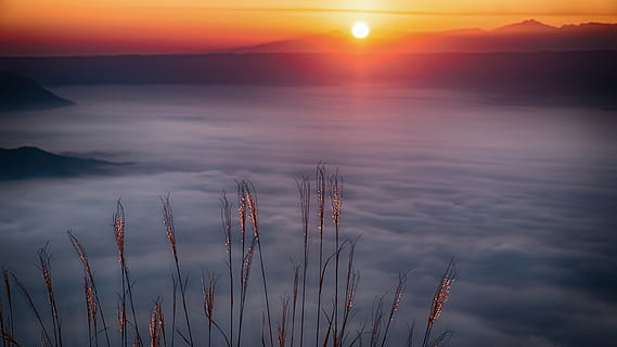 Meer, Dämmerung, Landschaft, Himmel, Strand, hell, Wolken, Nebel, nebelig, dunstig, neblig, trübe, natürlich, draußen, Wolkenmeer, Sonne, Sonnenaufgang, Sonnenuntergang, wolke - himmel, Schönheit in der Natur, Szenen - Natur, ruhige Szene, Ruhe, Natur, keine Leute, Wasser, Sonnenlicht, Dramatischer Himmel, orange Farbe, Silhouette, idyllisch, Umgebung, Nicht-städtische Szene, 4K, CC0, gemeinfrei, lizenzfrei