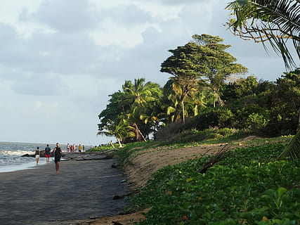 pantai, bourda, cabai rawit, langit, menanam, laut, pohon, sekelompok orang, air, orang sungguhan, tanah, alam, keindahan di alam, awan - langit, kegiatan waktu luang, scenics - alam, hari, pohon palem, gaya hidup, iklim tropis, berjalan, di luar rumah, 5K, CC0, domain publik, bebas royalti