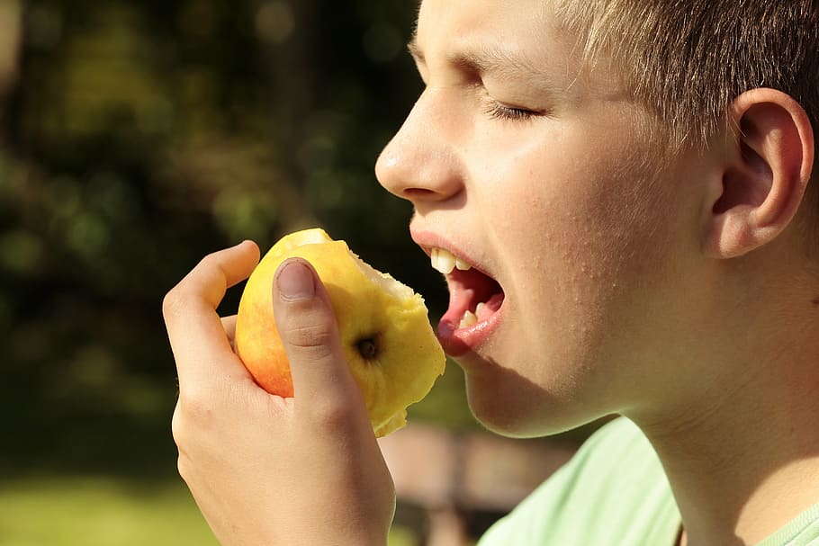 noi, menjar, fruita de poma, mossegar, nen, poma, cara, plaer, fruita, saludable, deliciós, gent, rostre humà, a l'aire lliure, ètnia caucàsica, alimentació saludable, estils de vida, berenar, menjar i beguda, retrat, tirada al cap, boca oberta, boca, benestar, nois, mascles, homes, part del cos humà, una persona, celebració, boca humana, vista del perfil, famolenc, gos calent, hamburguesa, 5K