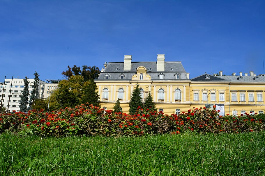 sofia, galerie, muzeum, hlavní město, Bulharsko, exteriér budovy, architektura, stavba, rostlina, květ, nebe, budova, Příroda, kvetoucí rostlina, tráva, destinace, nikdo, modrý, minulost, Dějiny, strom, den, růst, čisté nebe, zahrada, venku, záhon, okrasná zahrada, vláda, 5K