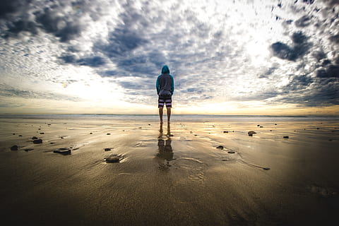 Mann, hettejakke, stående, strandlinje, person, sand, hettegenser, jakke, bak, Sky, Strand, natur, hav, mennesker, én person, ensomhet, utendørs, himmel, menn, solnedgang, kopiere plass, utsikt bakover, full lengde, sky - himmel, ekte folk, livsstil, fritidsaktivitet, skjønnhet i naturen, land, vann, naturskjønnhet - natur, rolig scene, horisont over vann, 4K, CC0, offentlig domene, opphavsrett gratis