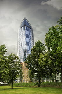 parafa-, épület, épített szerkezet, fa, növény, építészet, épület külső, ég, felhő - ég, természet, város, irodaház külső, hivatal, modern, nap, szabadban, utazási célpontok, felhőkarcoló, nem ember, torony, kormány, 5K, CC0, közkincs, jogdíjmentes