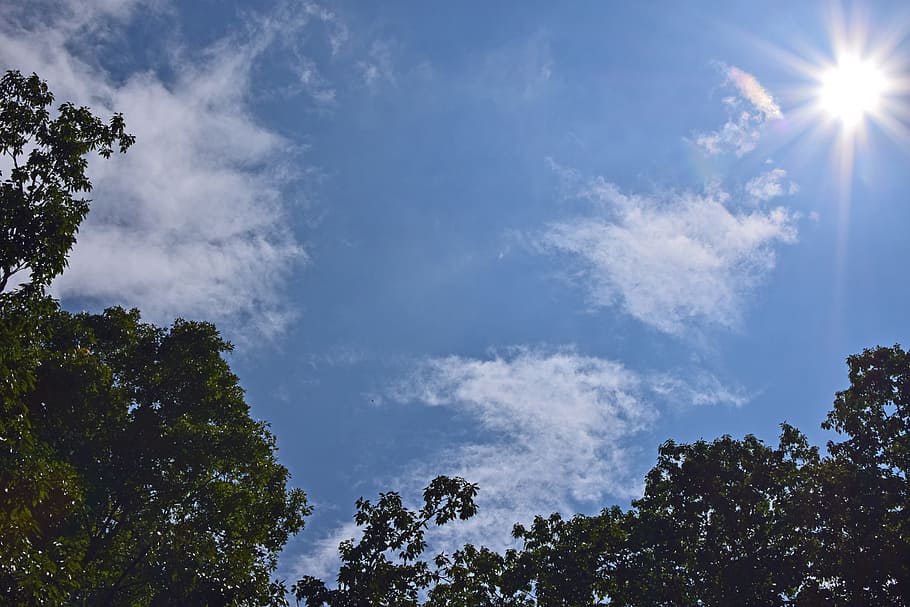 pelangi di atas awan, sinar matahari, Pelangi, awan, cloudscape, gambar langit, alam, pemandangan, musim panas, langit, pohon, menanam, tampilan sudut rendah, keindahan di alam, awan - langit, pertumbuhan, tidak ada orang, ketenangan, hari, scenics - alam, adegan yang tenang, di luar rumah, matahari, biru, cerah, lensa suar, puncak pohon, terang, terang benderang, Streaming, pijaran matahari, kanopi pohon, 5K