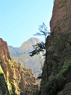 berg, dramatisk, landskap, utah, naturskön, himmel, sten, sten formation, skönhet i naturen, växt, scenics - natur, natur, träd, bergskedja, dag, lugn, lugn plats, icke-urbana scenen, fysisk geografi, rock-objekt, geologi, klar himmel, miljö, fast, inget folk, bildning, utomhus, eroderade, bergstopp, 4K, CC0, offentligt domän, royaltyfria