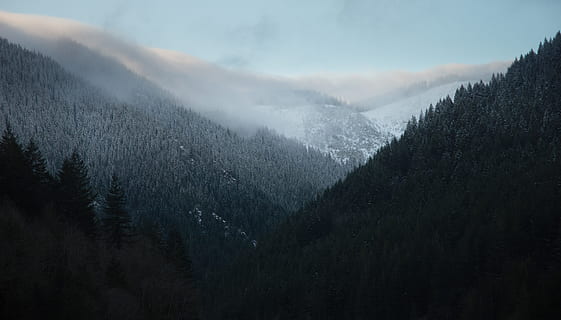 landskabsfotografering, bjerge, tåget, sæson, selektiv, Foto, sort, grå, blå, himmel, dagtimerne, passere, Skov, Sky, dal, hældning, sne, natur, bjerg, tåge, træ, landskab, scenics, udendørs, vinter, bjergkæde, ingen mennesker, landskaber, skønhed i naturen, farvebillede, ro, rolig scene, scenics - natur, plante, miljø, kold temperatur, jord, ikke-urbane scene, fyrretræ, nåletræ, snedækket bjerg, fyrreskov, bjergtop, 5K, CC0, offentligt domæne, royaltyfrie
