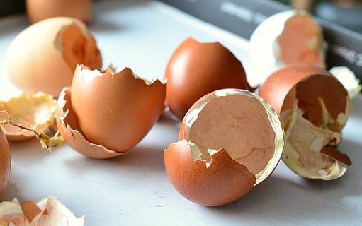 Nahaufnahmen, Eierschale, Eierschalen, ausgebrütet, Küken, öffnen, Schale, Geflügel, Hühner, Luke, Landleben, Lebensmittel, Ei, Essen und Trinken, gesundes Essen, Wohlbefinden, Frische, gebrochen, geknackt, drinnen, keine Leute, Eigelb, Nahansicht, Zerbrechlichkeit, Verletzlichkeit, Gruppe von Objekten, Rohkost, tierisches Ei, Fokus auf den Vordergrund, Frühstück, 4K