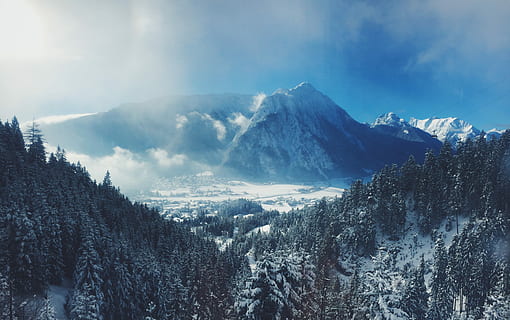 zăpadă acoperită de munte, arbori de pin, Alpii de munte, Munte, pădure, nor, iarnă, vârf, copac, gamă, rece, zăpadă, austrium, peisaj, scenice - natura, temperatura rece, frumusețe în natură, plantă, cer, mediu inconjurator, o scenă liniștită, liniște, nor - cer, de munte, natură, scenă non-urbană, un munte acoperit de zăpadă, nici o persoana, Brad, conifer, în aer liber, pini de pădure, 4K, CC0, domeniu public, fără drepturi de autor
