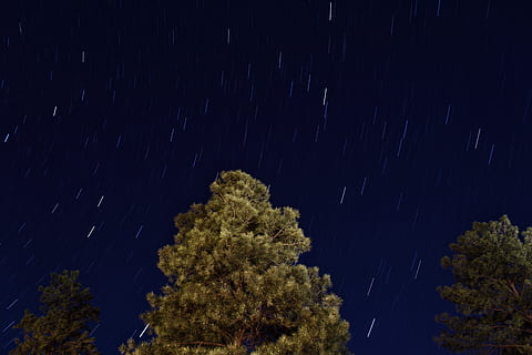 grøn, træer, stjernehimmel, nat tid, himlen om natten, natur, træ, Skov, nat, himmel, blå, stjerne - rum, udendørs, scenics, astronomi, landskab, ingen mennesker, tæt på, plante, stjerne, stjerne trail, lav vinkel visning, plads, lang eksponering, stjerne felt, skønhed i naturen, scenics - natur, vækst, galakse, bevægelse, ro, rum og astronomi, 5K, CC0, offentligt domæne, royaltyfrie