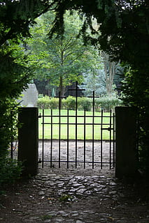 blacksmithing, poarta veche, cimitir, departe, fier forjat, copac, plantă, Poartă, nici o persoana, zi, natură, protecţie, Securitate, Siguranță, în aer liber, limite, religie, barieră, gard, Intrare, arhitectură, mormânt, închis, 2K, CC0, domeniu public, fără drepturi de autor