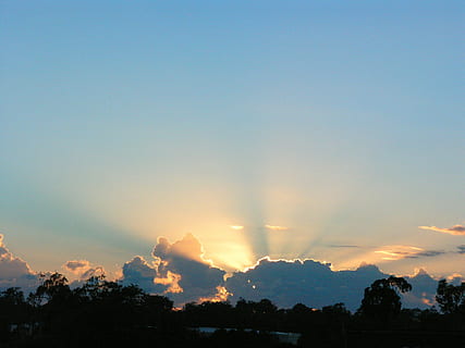 silueta de arboles, amanecer, corona, nube, dramático, cielo, crepuscular, naranja, idílico, relajación, Mañana, rayos de sol, sol naciente, puesta de sol, silueta, escena tranquila, nube - cielo, oscuridad, paisajes - naturaleza, belleza en la naturaleza, tranquilidad, árbol, naturaleza, planta, nadie, copia espacio, al aire libre, paisaje, ambiente, escena no urbana, luz del sol, color naranja, 2K, CC0, dominio público, libre de derechos