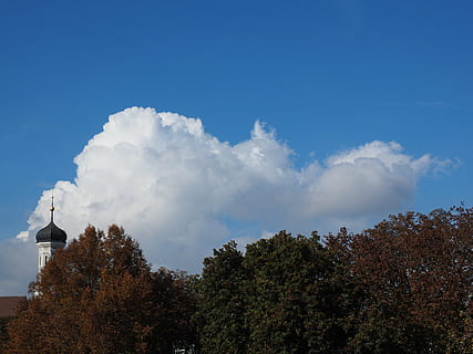nube, cielo, nubi cumuliformi, bianca, blu, albero, pianta, nuvola - cielo, giorno, natura, nessuno, architettura, esterno dell'edificio, struttura costruita, crescita, bellezza nella natura, Inquadratura dal basso, scenics - natura, costruzione, all'aperto, la tranquillità, scena tranquilla, luce del sole, cima dell'albero, 4K, CC0, dominio pubblico, privo di copyright