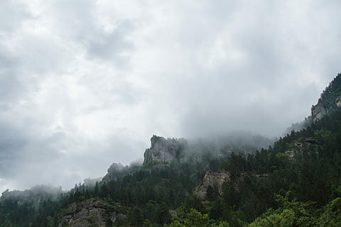 grasbedeckter nebliger Berg, Berge, Bäume, wolkig, Himmel, Wolke, Baum, Rock, Wald, Nebel, Natur, gefroren, Sommer-, foret, Grün, Schlucht, Berg, falaise, wolke - himmel, Pflanze, Schönheit in der Natur, Szenen - Natur, ruhige Szene, Nicht-städtische Szene, Ruhe, keine Leute, Umgebung, Land, Tag, Wachstum, idyllisch, draußen, Gipfel, 5K, CC0, gemeinfrei, lizenzfrei