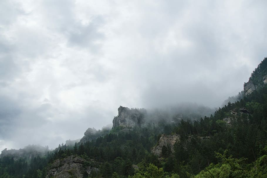 muntanya brumosa coberta d'herba, muntanyes, arbres, ennuvolat, cels, núvol, arbre, cel, rock, bosc, boira, naturalesa, congelat, estiu, foret, verd, canyon, muntanya, falaise, núvol - cel, planta, bellesa a la natura, escenics - natura, escena tranquil·la, escena no urbana, tranquil·litat, cap gent, medi ambient, terra, dia, creixement, idíl·lic, a l'aire lliure, cim de muntanya, 5K